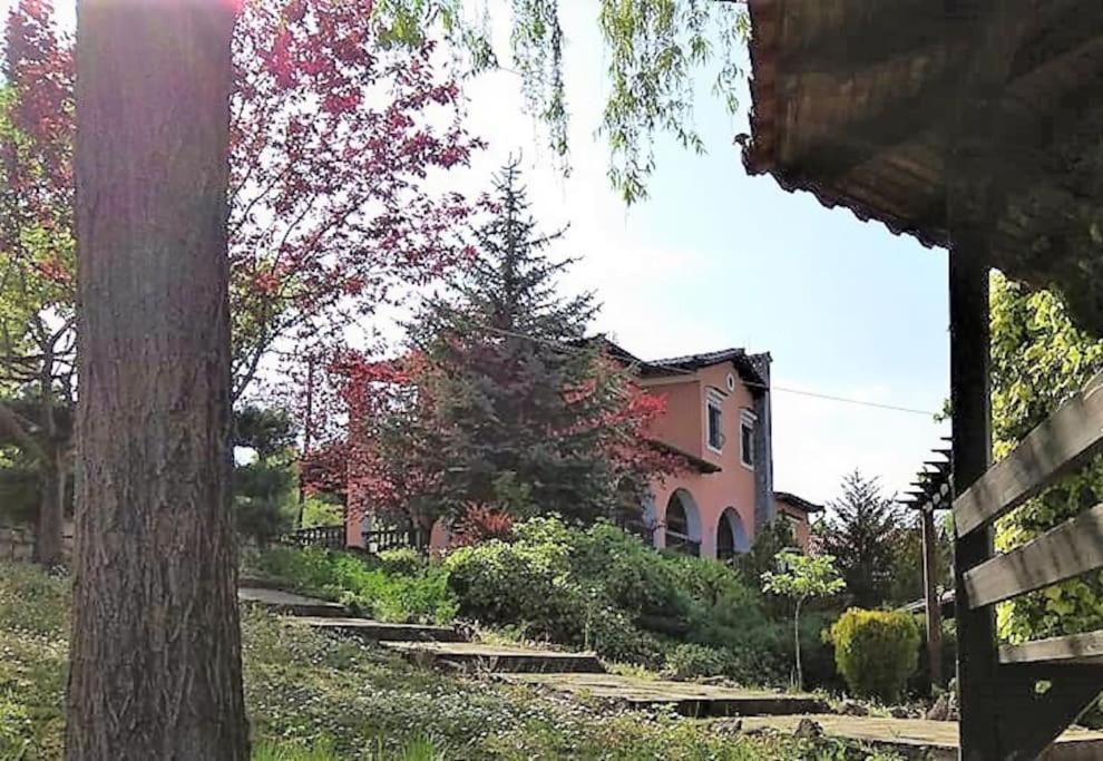 Villa Tethys Mountain Resort Zákas 外观 照片